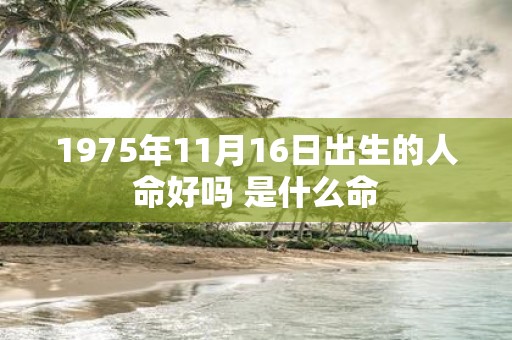1975年11月16日出生的人命好吗 是什么命