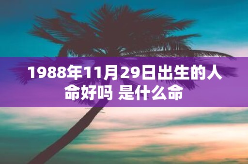 1988年11月29日出生的人命好吗 是什么命