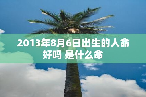 2013年8月6日出生的人命好吗 是什么命