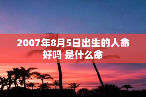 2007年8月5日出生的人命好吗 是什么命