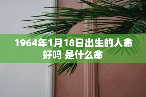 1964年1月18日出生的人命好吗 是什么命