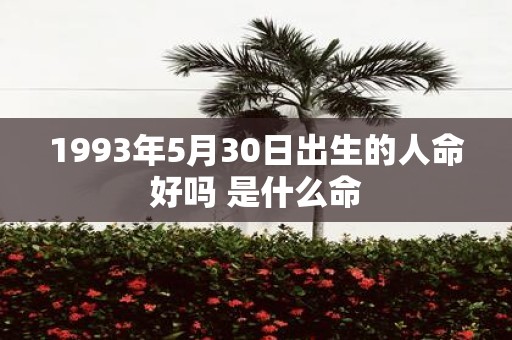 1993年5月30日出生的人命好吗 是什么命