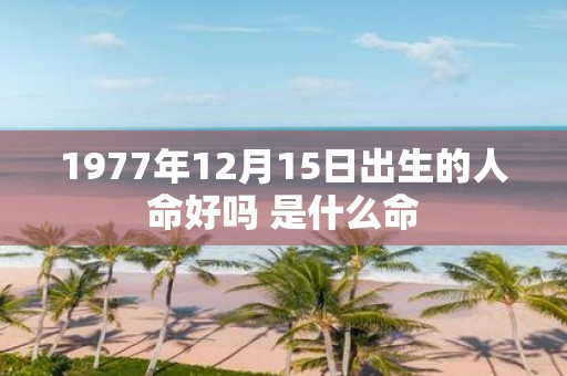 1977年12月15日出生的人命好吗 是什么命