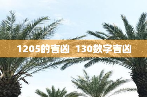 1205的吉凶 130数字吉凶