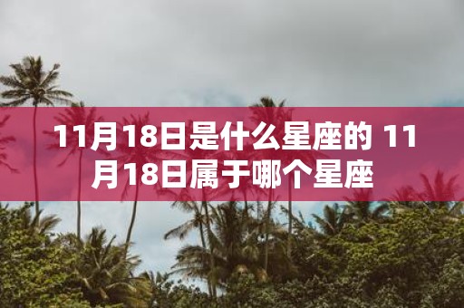 11月18日是什么星座的 11月18日属于哪个星座