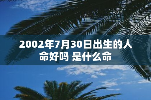 2002年7月30日出生的人命好吗 是什么命