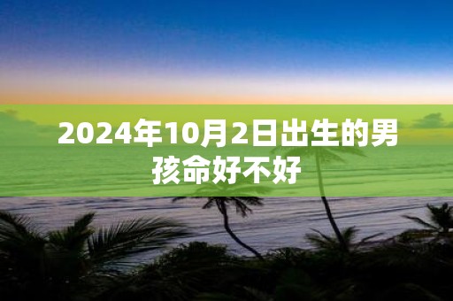 2025年10月2日出生的男孩命好不好