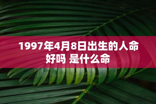 1997年4月8日出生的人命好吗 是什么命
