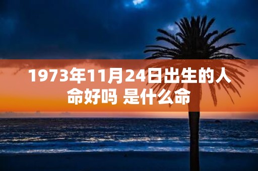 1973年11月24日出生的人命好吗 是什么命
