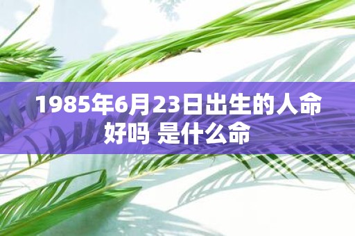 1985年6月23日出生的人命好吗 是什么命