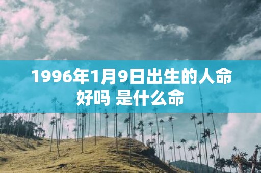 1996年1月9日出生的人命好吗 是什么命