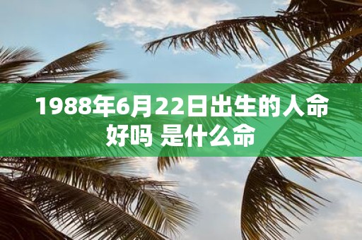 1988年6月22日出生的人命好吗 是什么命