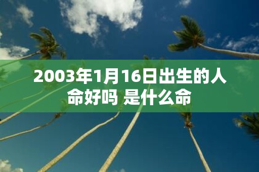 2003年1月16日出生的人命好吗 是什么命