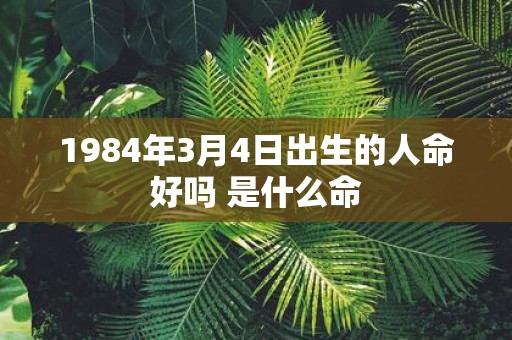1984年3月4日出生的人命好吗 是什么命