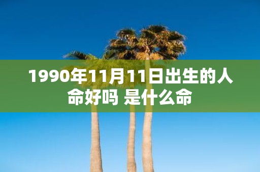 1990年11月11日出生的人命好吗 是什么命