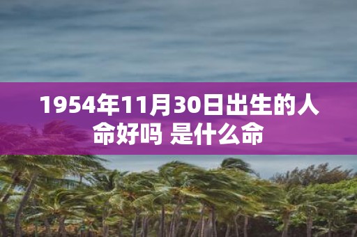 1954年11月30日出生的人命好吗 是什么命