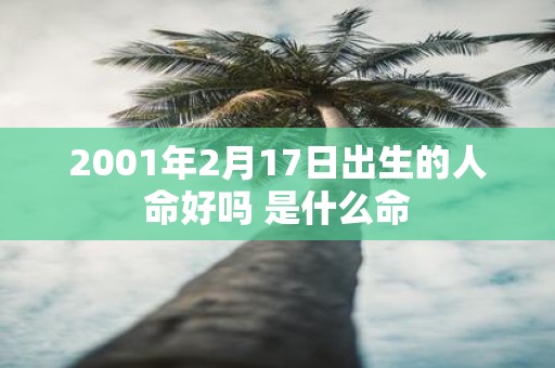 2001年2月17日出生的人命好吗 是什么命
