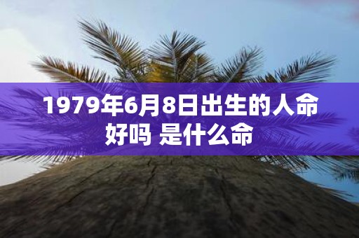 1979年6月8日出生的人命好吗 是什么命