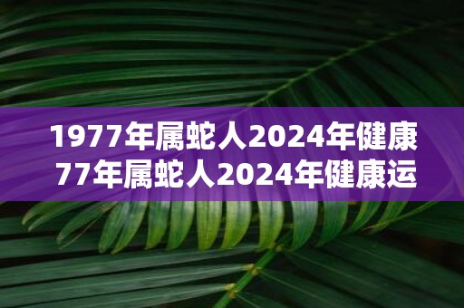 1977年属蛇人2025年健康 77年属蛇人2025年健康运势如何