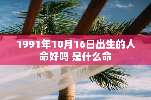1991年10月16日出生的人命好吗 是什么命