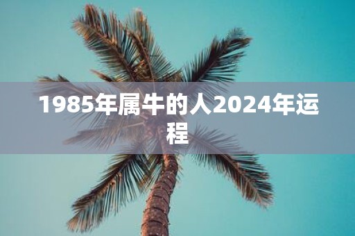 1985年属牛的人2025年运程