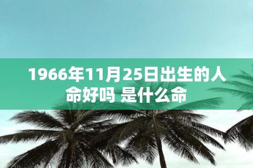 1966年11月25日出生的人命好吗 是什么命