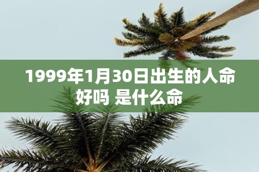 1999年1月30日出生的人命好吗 是什么命