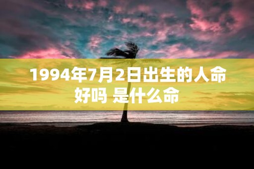 1994年7月2日出生的人命好吗 是什么命