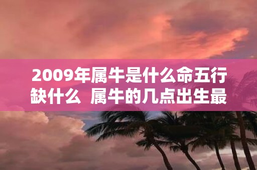 2009年属牛是什么命五行缺什么 属牛的几点出生最命苦