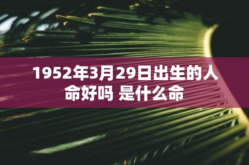 1952年3月29日出生的人命好吗 是什么命