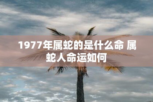 1977年属蛇的是什么命 属蛇人命运如何