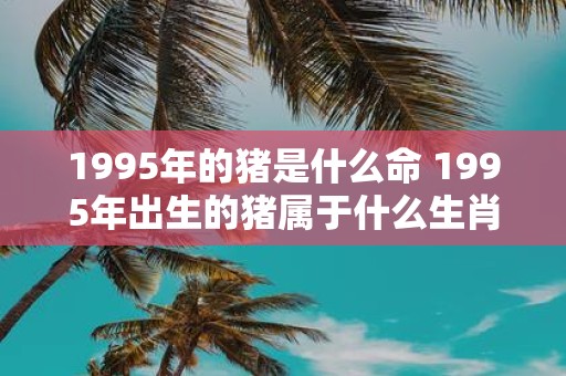 1995年的猪是什么命 1995年出生的猪属于什么生肖