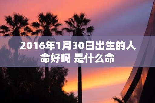 2016年1月30日出生的人命好吗 是什么命