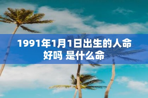 1991年1月1日出生的人命好吗 是什么命