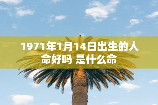 1971年1月14日出生的人命好吗 是什么命