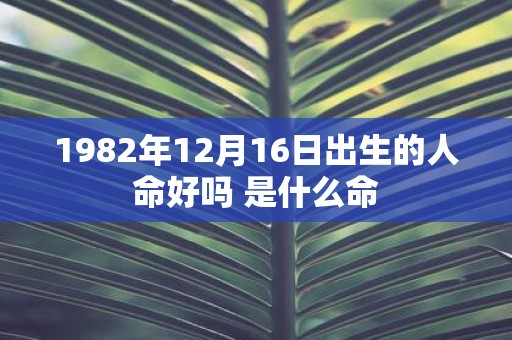 1982年12月16日出生的人命好吗 是什么命