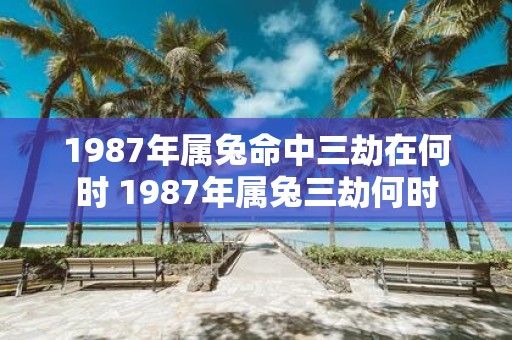 1987年属兔命中三劫在何时 1987年属兔三劫何时