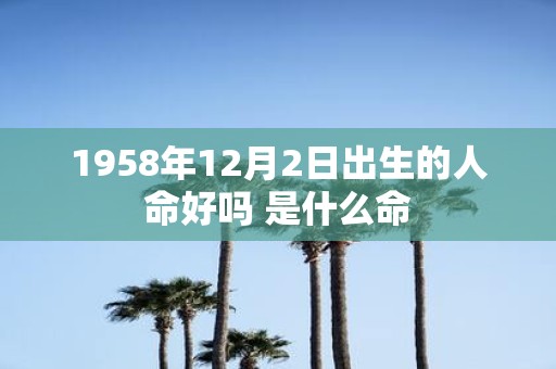 1958年12月2日出生的人命好吗 是什么命