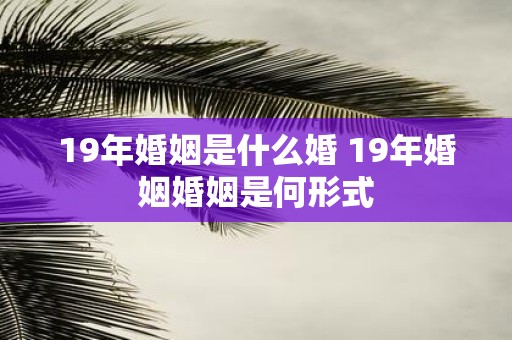 19年婚姻是什么婚 19年婚姻婚姻是何形式