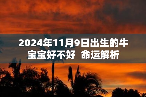 2025年11月9日出生的牛宝宝好不好 命运解析