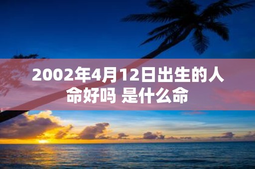 2002年4月12日出生的人命好吗 是什么命