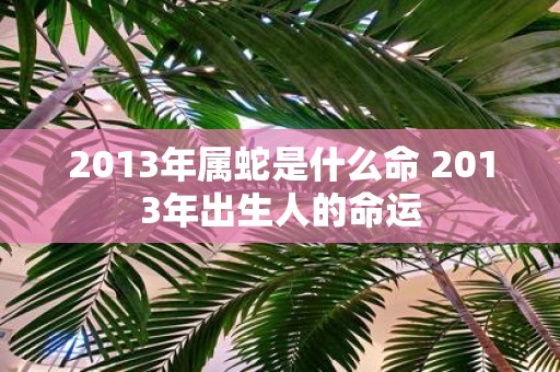 2013年属蛇是什么命 2013年出生人的命运