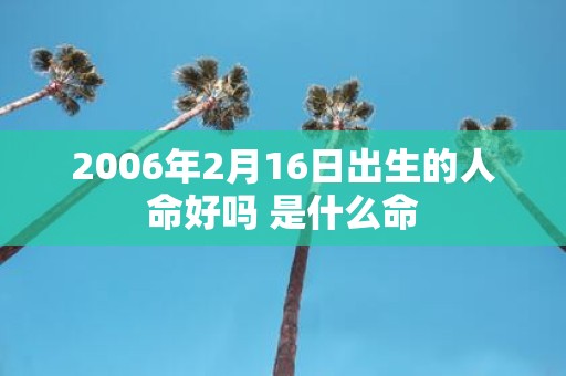 2006年2月16日出生的人命好吗 是什么命