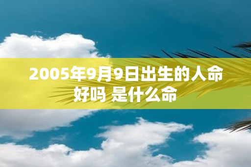 2005年9月9日出生的人命好吗 是什么命