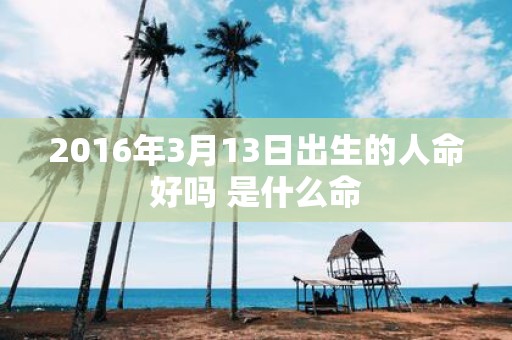 2016年3月13日出生的人命好吗 是什么命