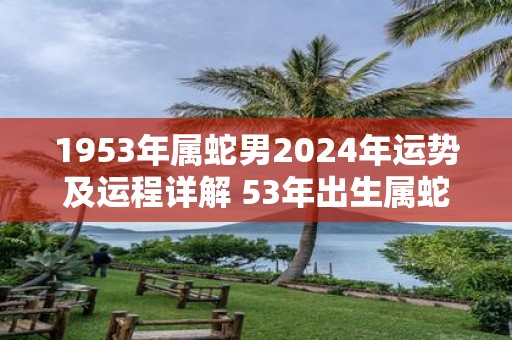 1953年属蛇男2025年运势及运程详解 53年出生属蛇人2025全年每月运势男性