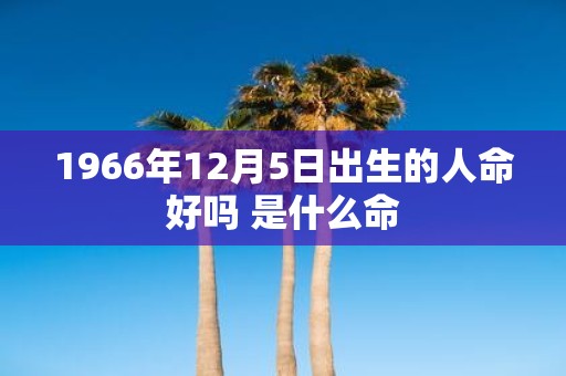1966年12月5日出生的人命好吗 是什么命