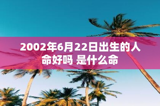 2002年6月22日出生的人命好吗 是什么命