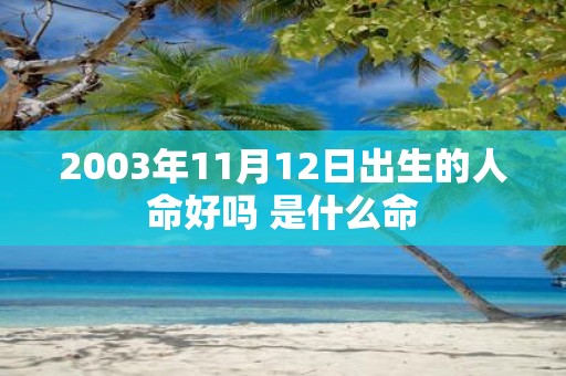 2003年11月12日出生的人命好吗 是什么命