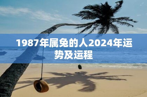 1987年属兔的人2025年运势及运程